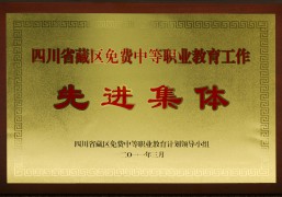 2011年四川省9+3教育先進集體